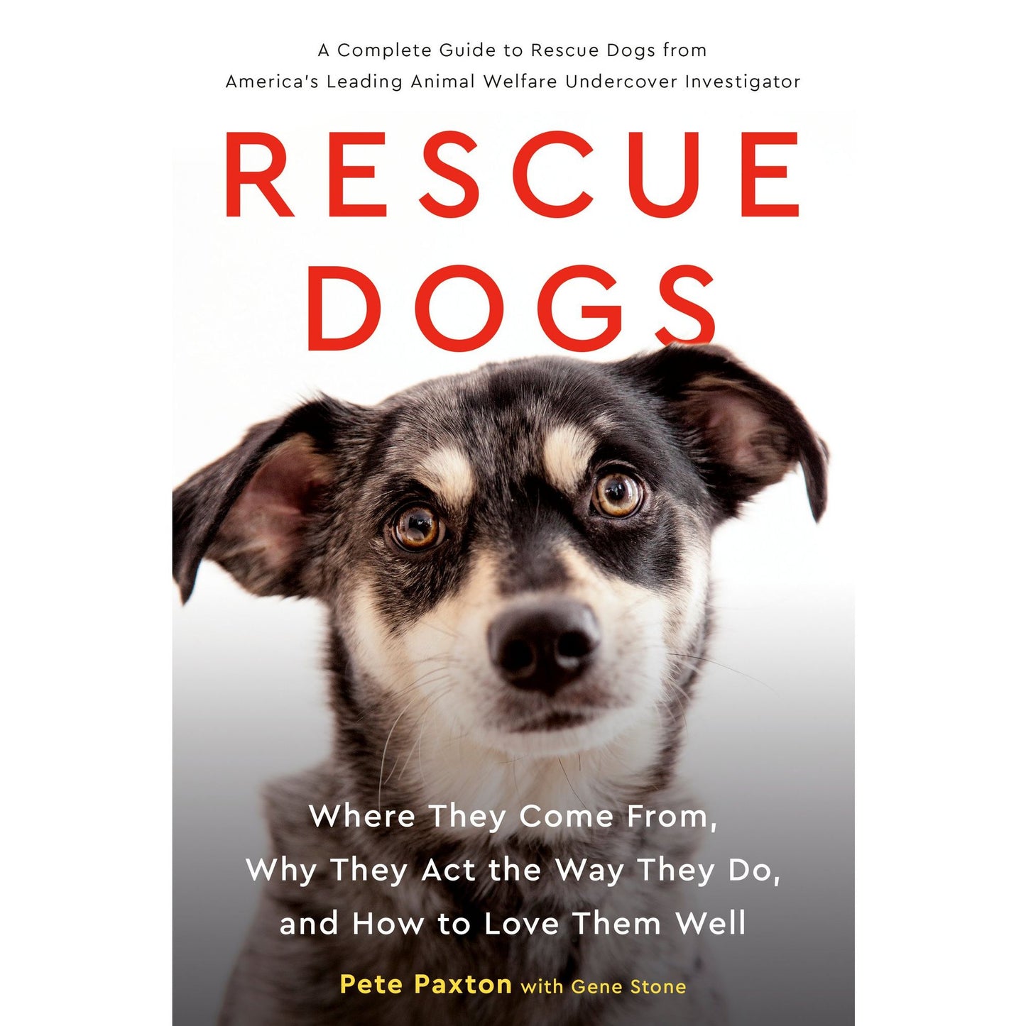 Rescue Dogs: Where They Come From, Why They Act the Way They Do, and How to Love Them Well