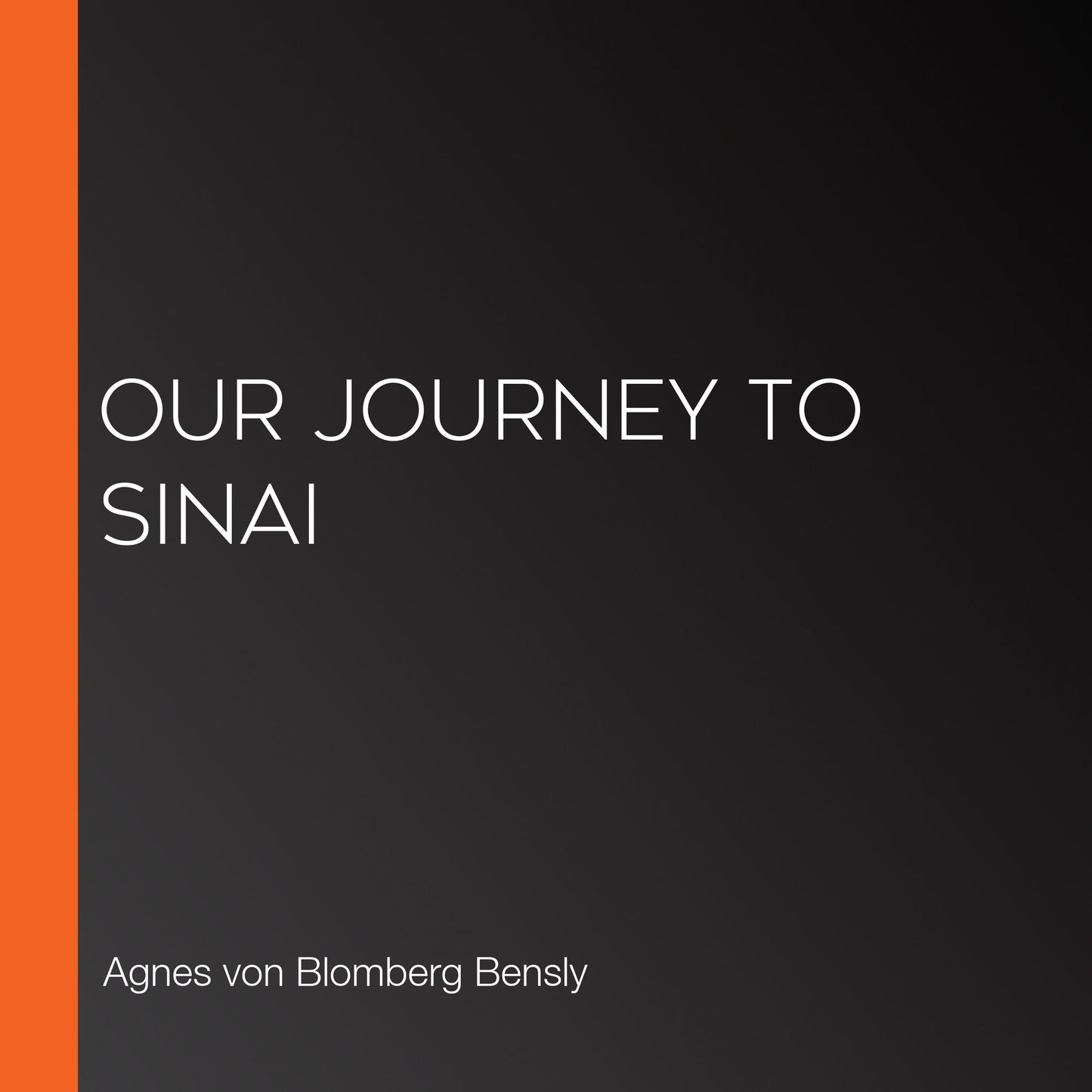 Our Journey to Sinai