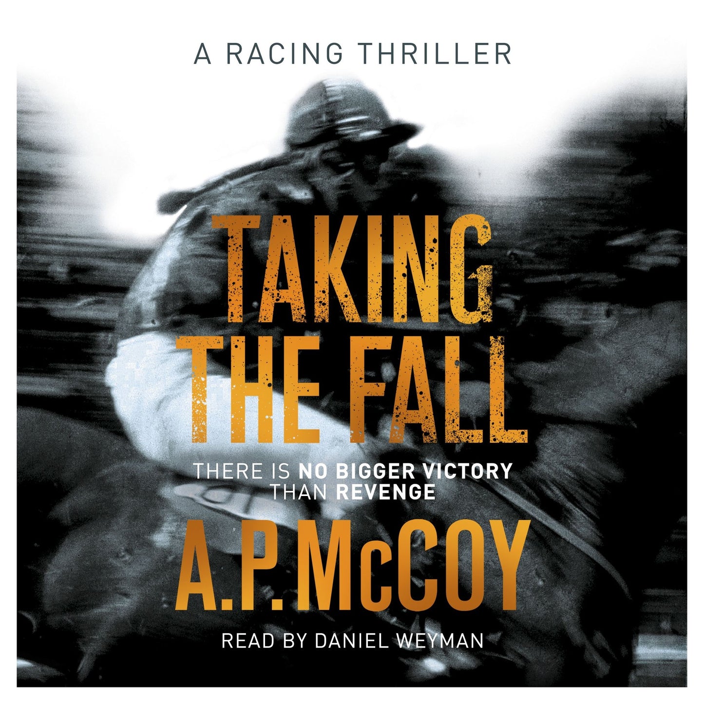 Taking the Fall: A Racing Thriller