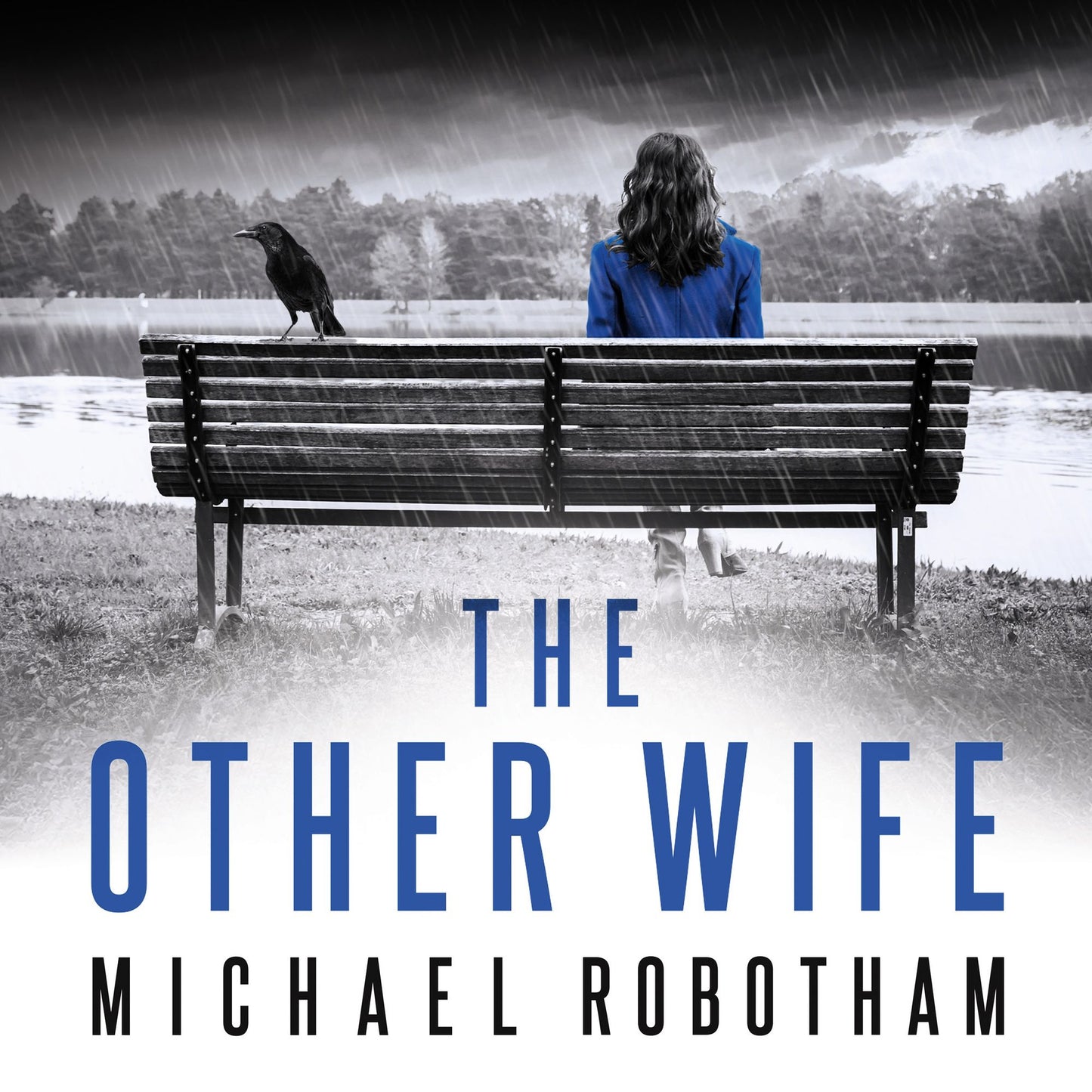 The Other Wife: The pulse-racing thriller that's impossible to put down