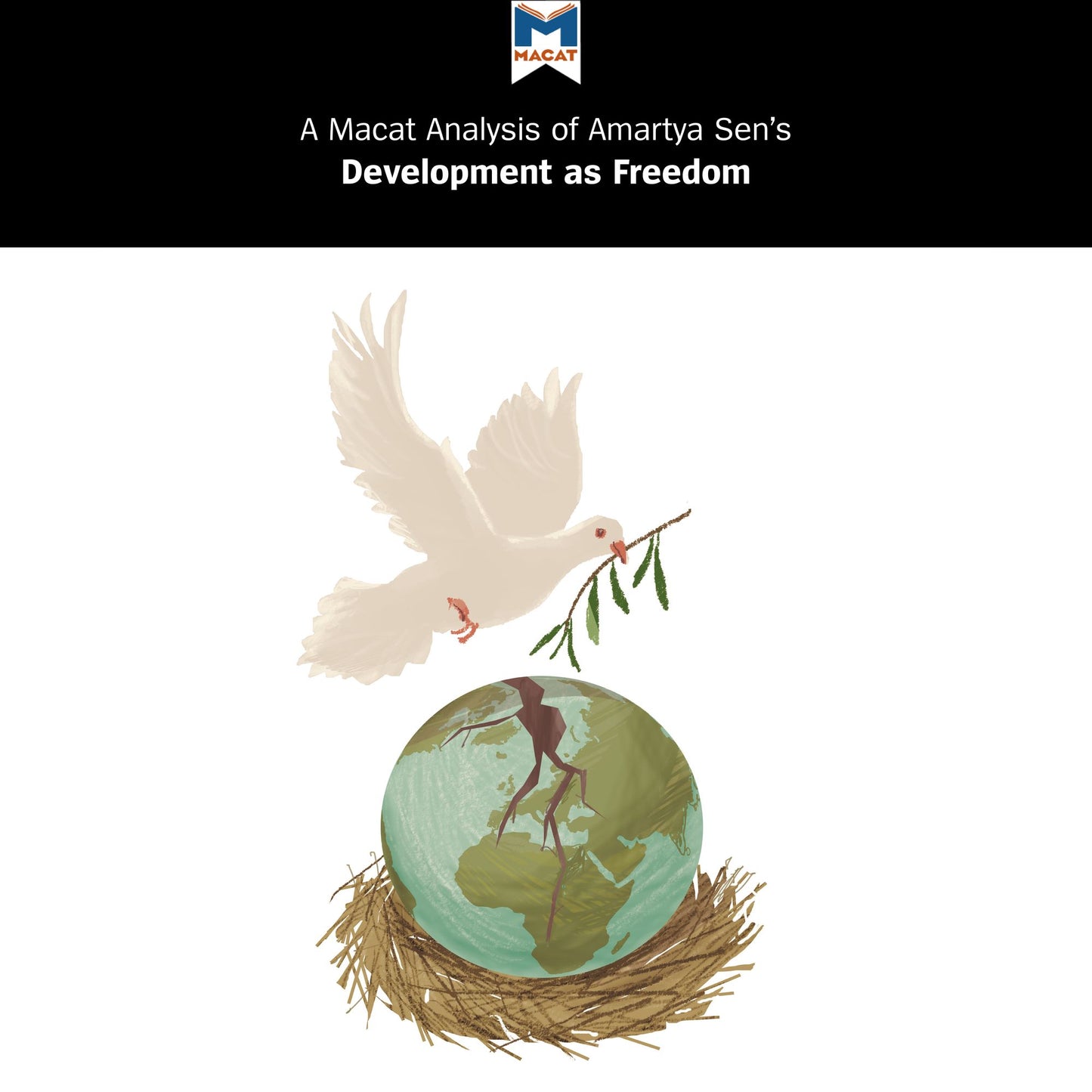 A Macat Analysis of Amartya Sen's Development as Freedom