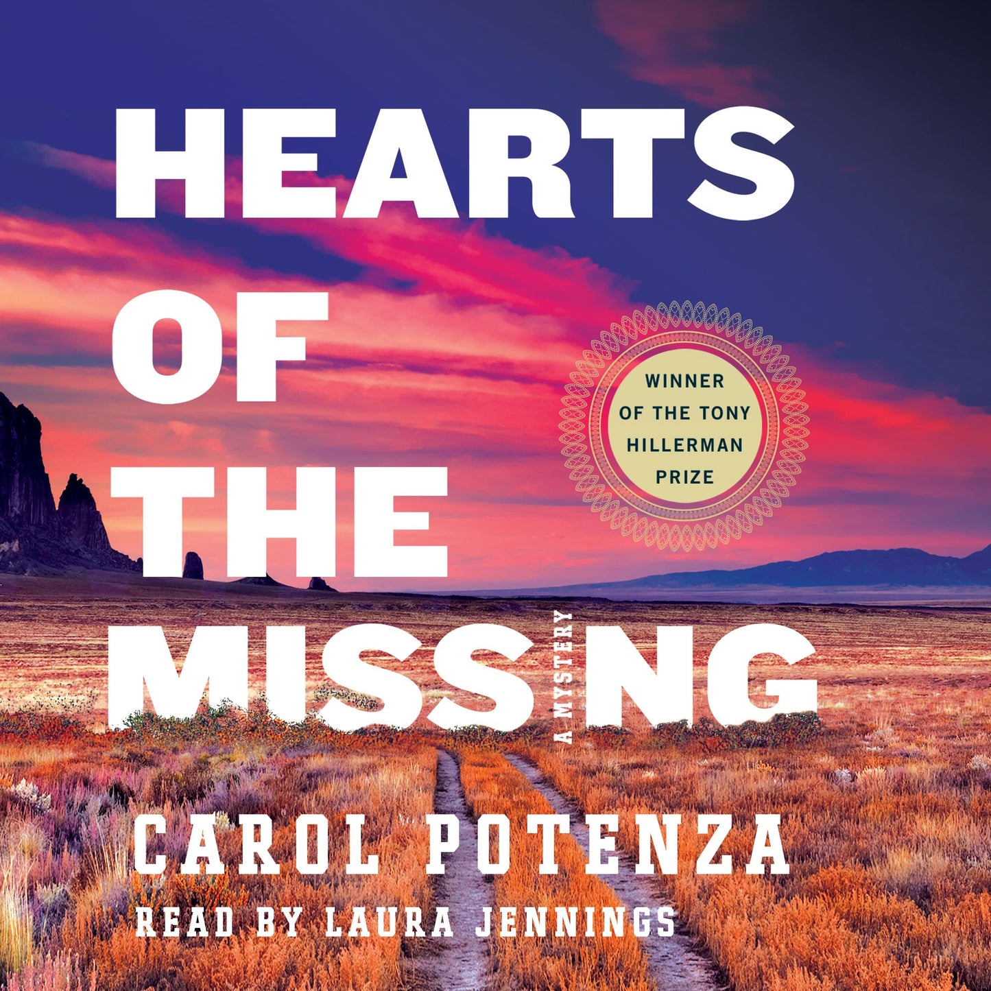 Hearts of the Missing : A Mystery