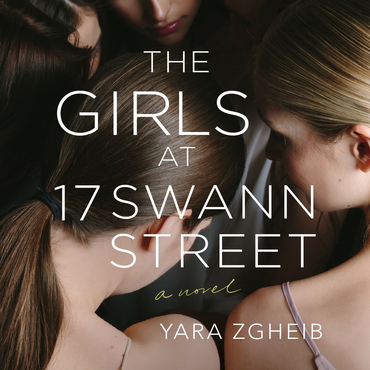 The Girls at 17 Swann Street: A Novel