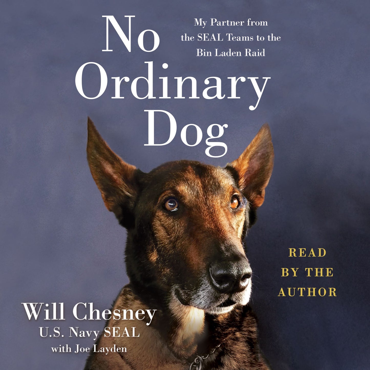 No Ordinary Dog : My Partner from the SEAL Teams to the Bin Laden Raid