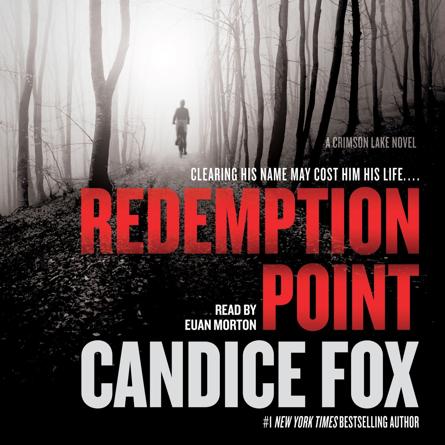Redemption Point: A Crimson Lake Novel