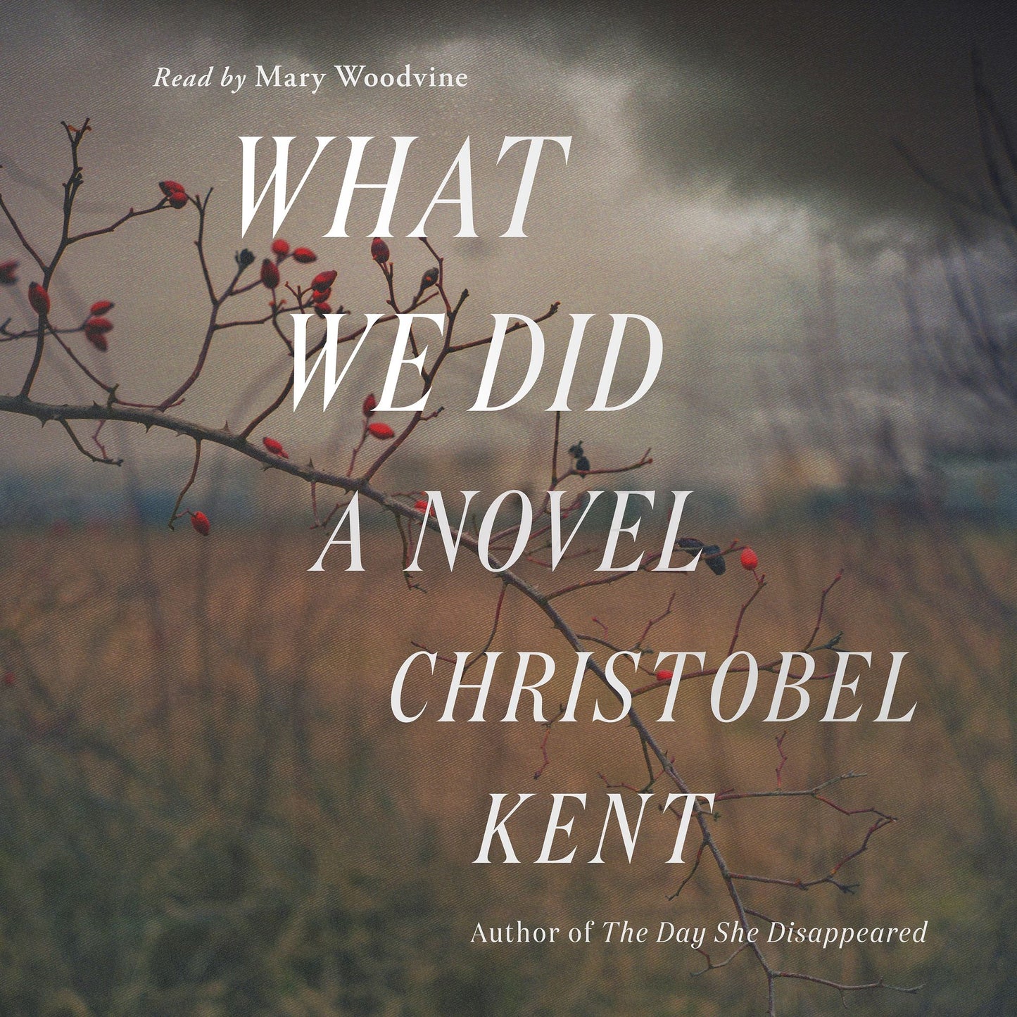 What We Did: A Novel