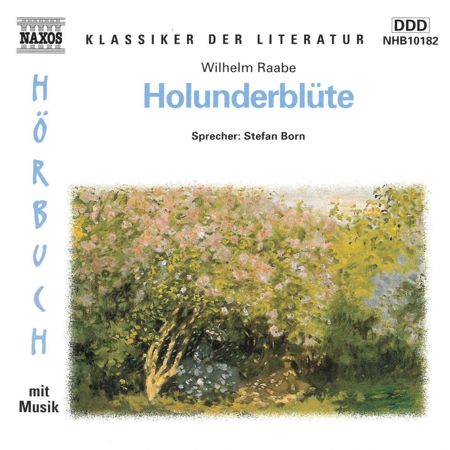 Holunderblüte