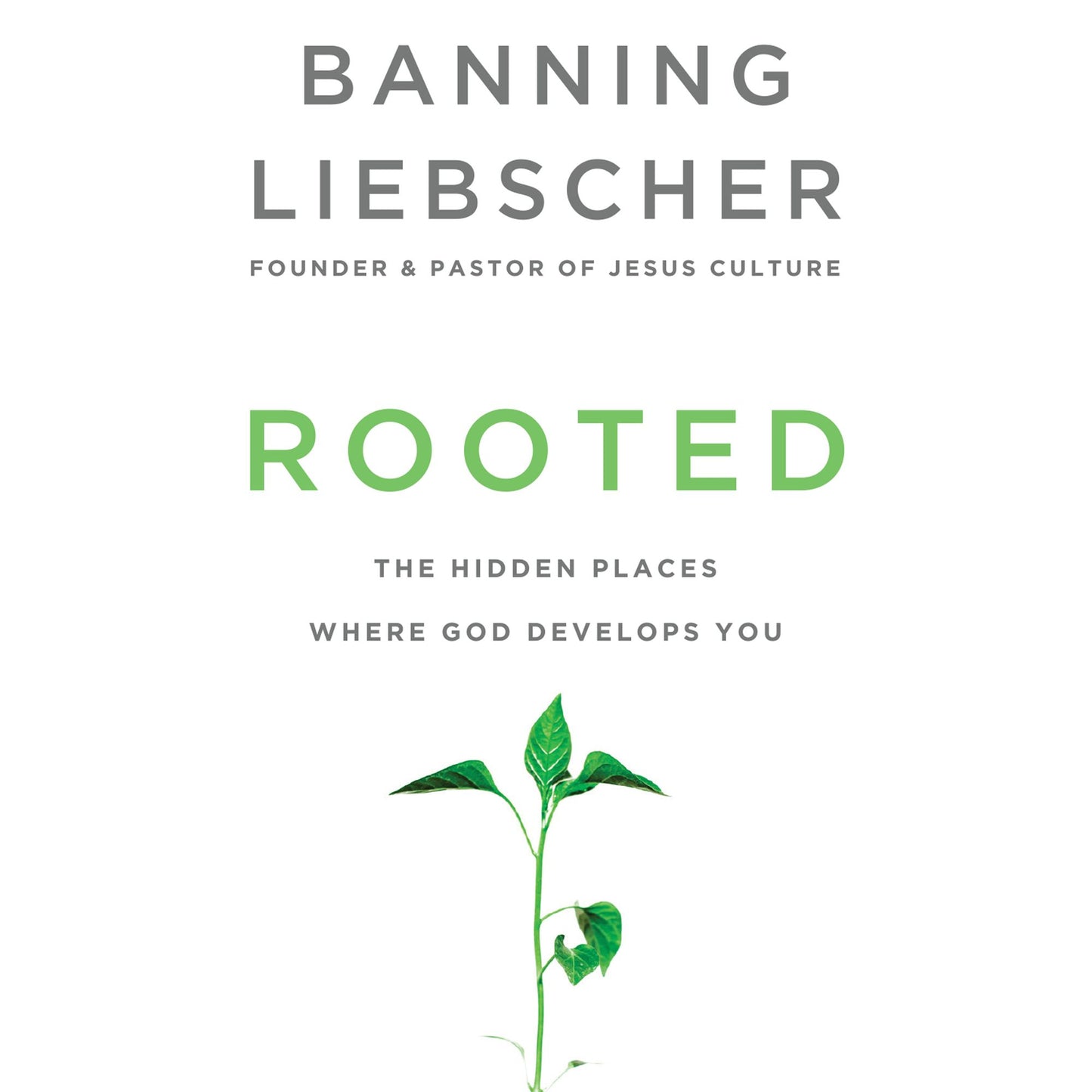 Rooted : The Hidden Places Where God Develops You