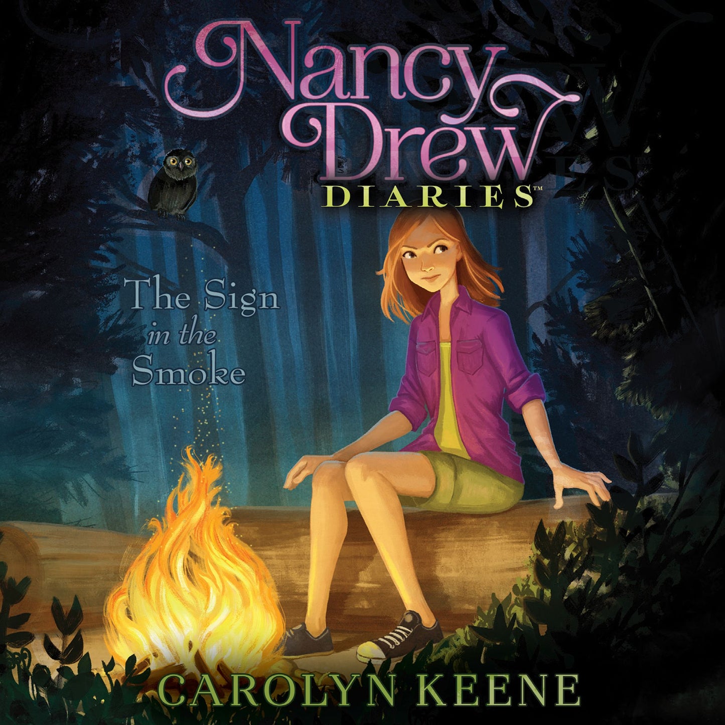 The Sign in the Smoke : Nancy Drew Diaries, Book 12
