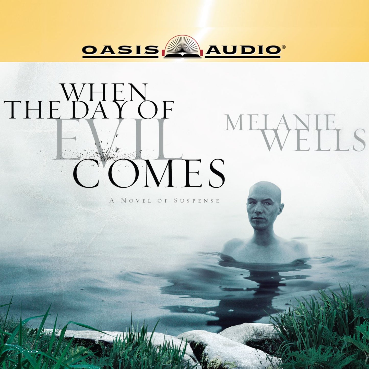 When the Day of Evil Comes : A Novel of Suspense