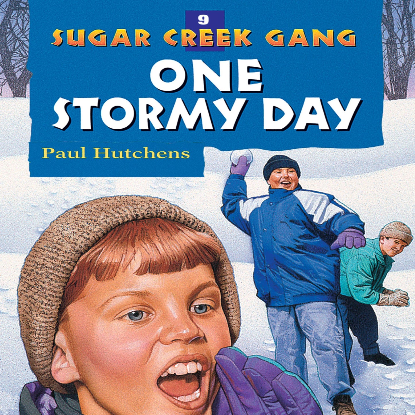 One Stormy Day: Sugar Creek Gang, Book 9