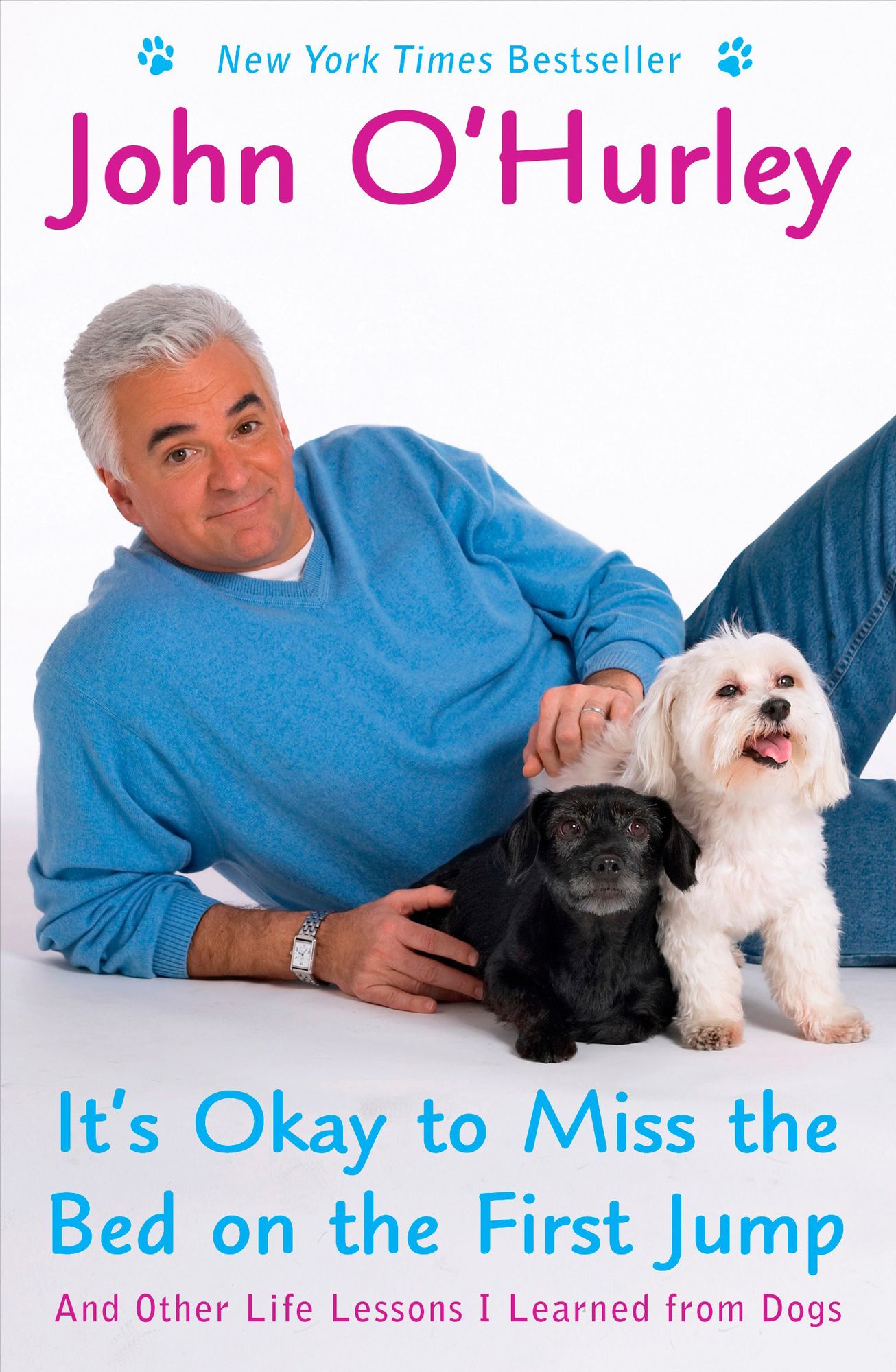 It's Okay to Miss the Bed on the First Jump: And Other Life Lessons I Learned from Dogs