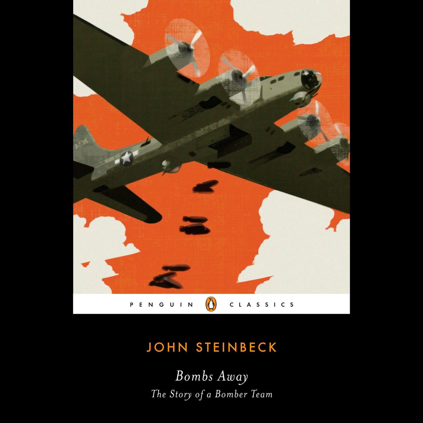 Bombs Away: The Story of a Bomber Team