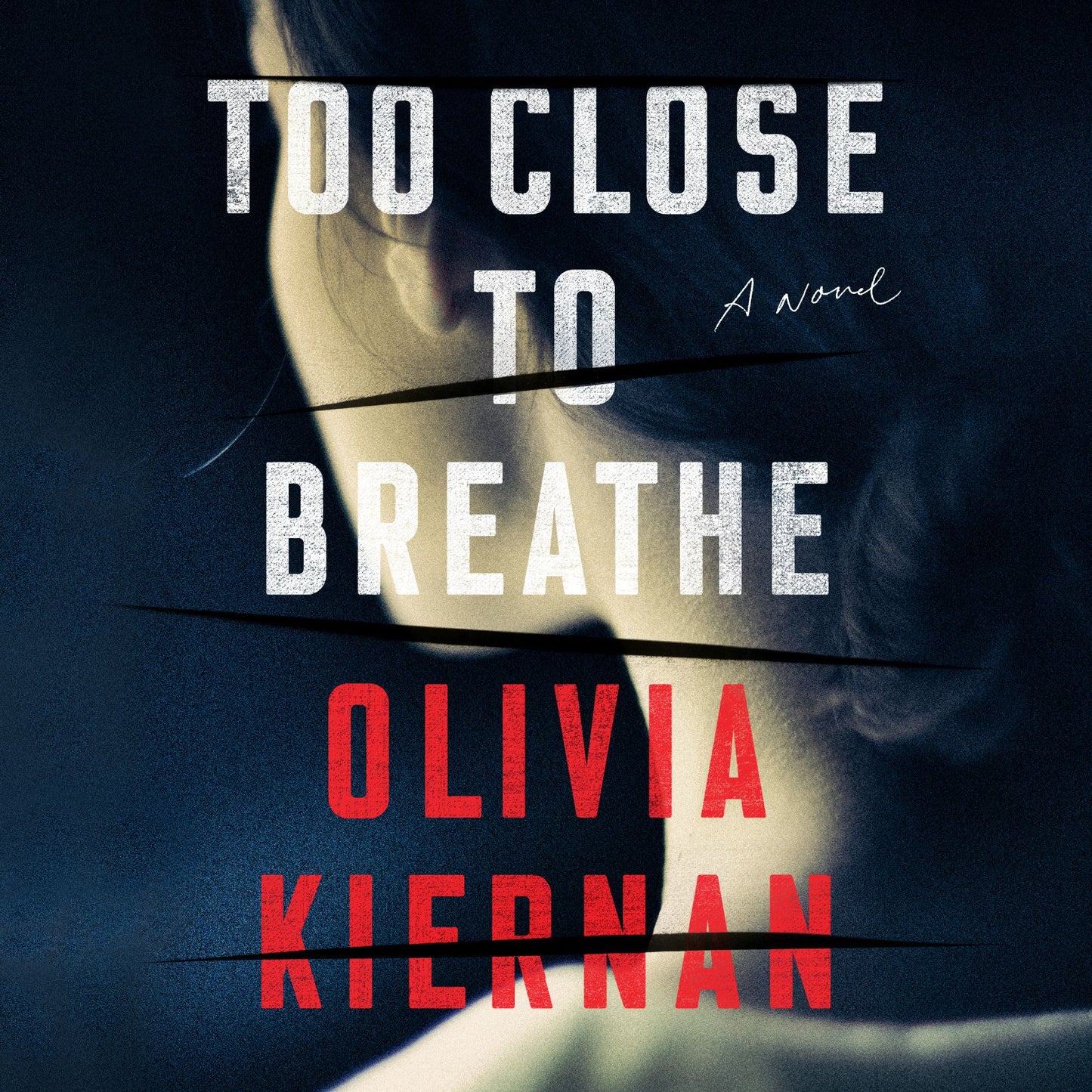 Too Close to Breathe: A Novel