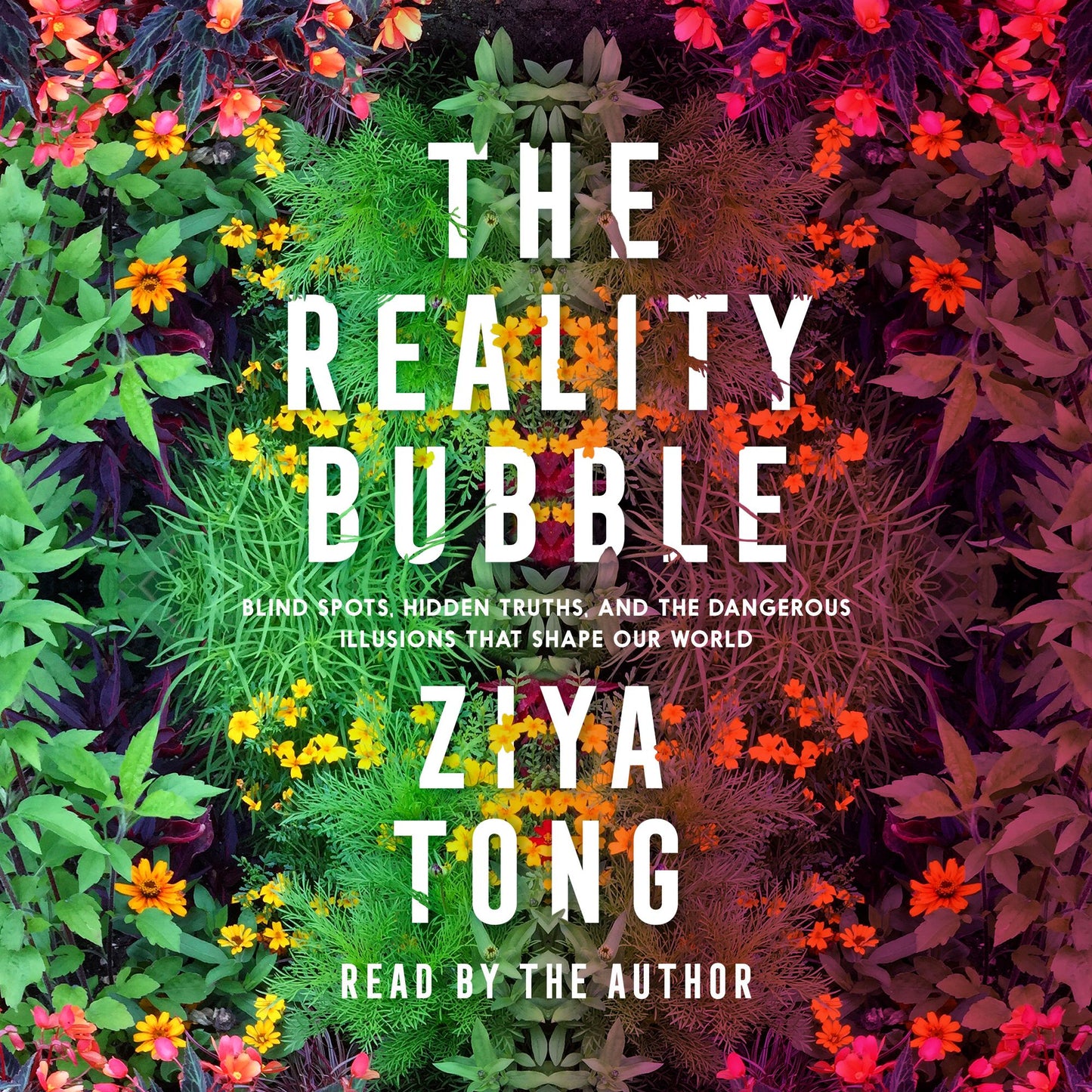 The Reality Bubble: Blind Spots, Hidden Truths, and the Dangerous Illusions That Shape Our World
