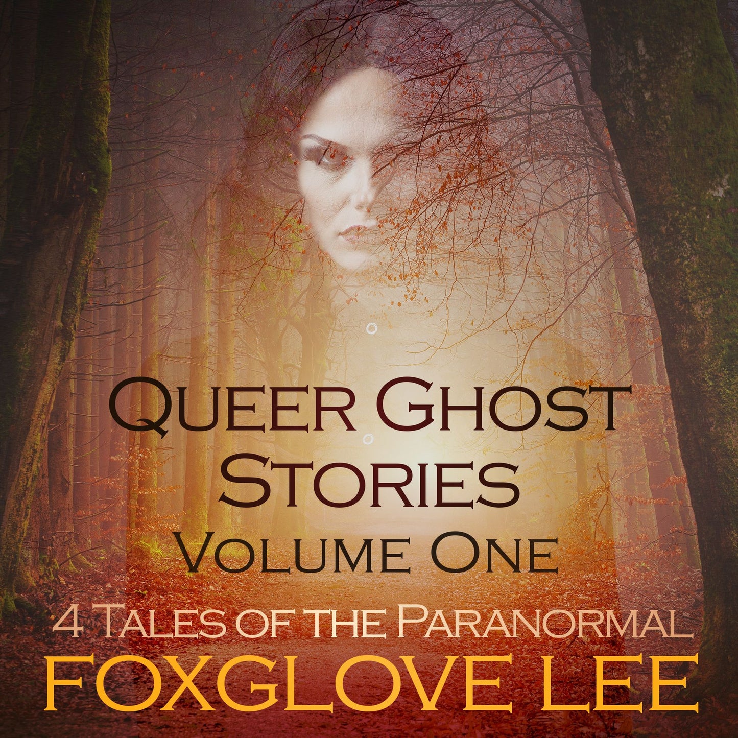 Queer Ghost Stories Volume One: 4 Tales of the Paranormal