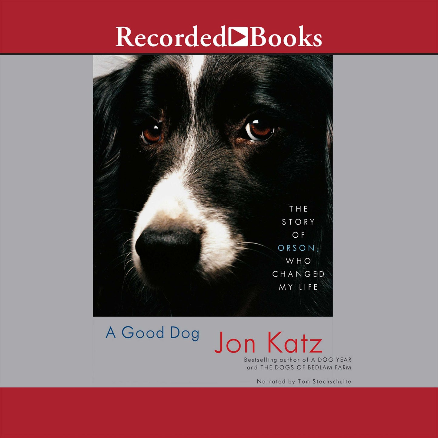 A Good Dog: The Story of Orson, Who Changed My Life