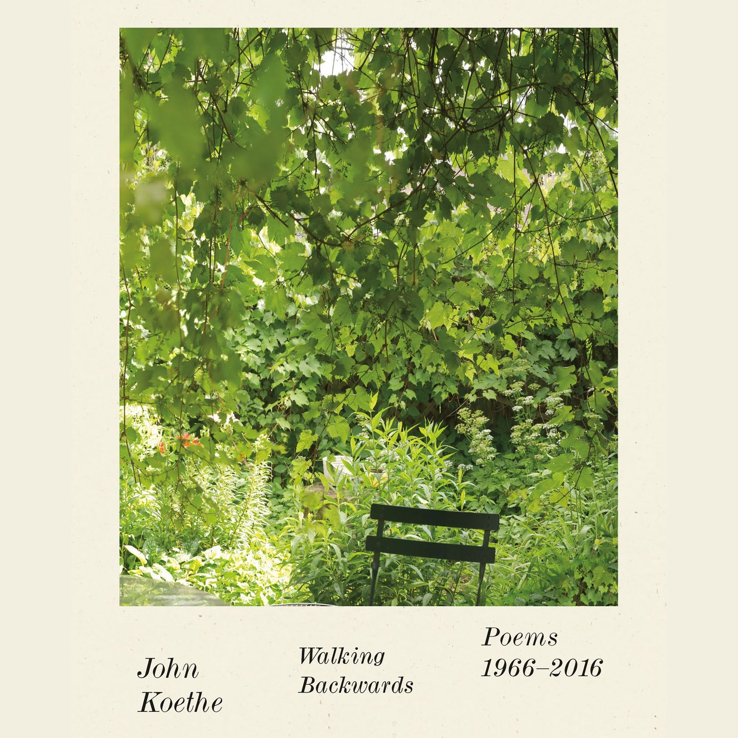 Walking Backwards : Poems 1966-2016