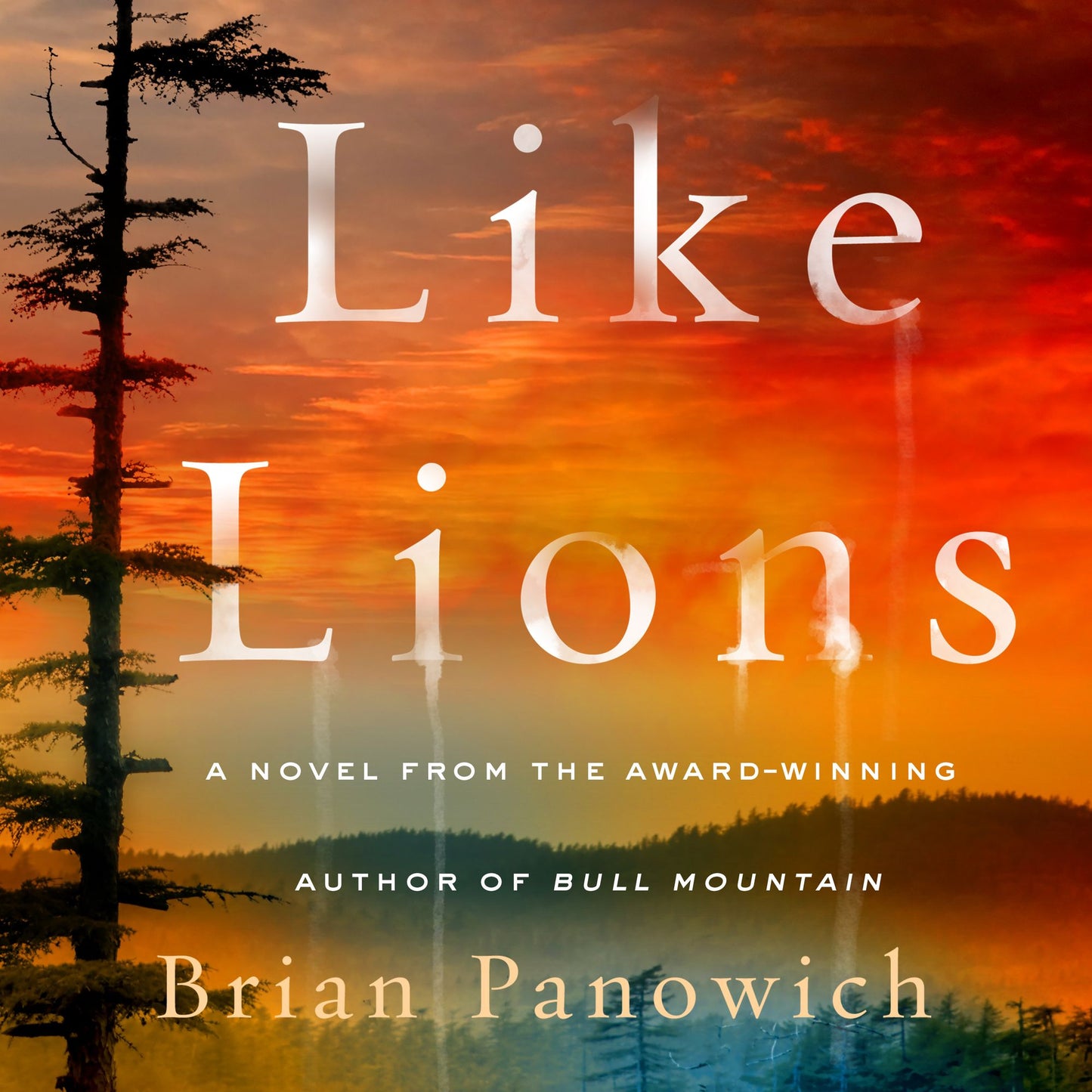 Like Lions: A Novel