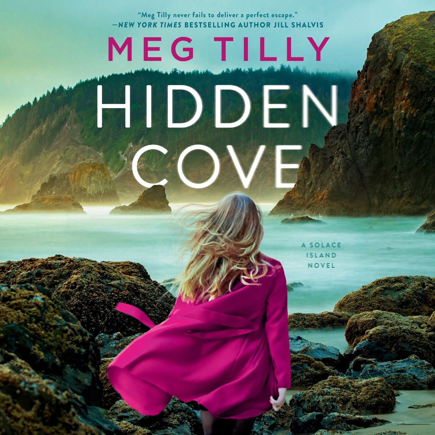 Hidden Cove: A Solace Island Novel