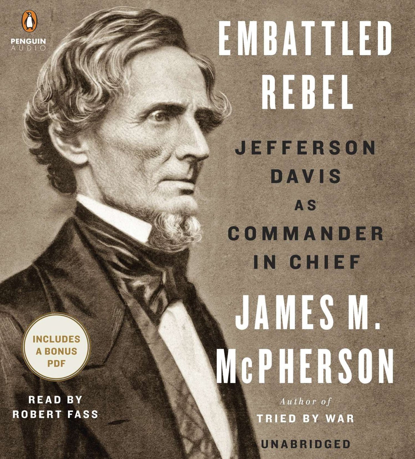 Embattled Rebel: Jefferson Davis as Commander in Chief