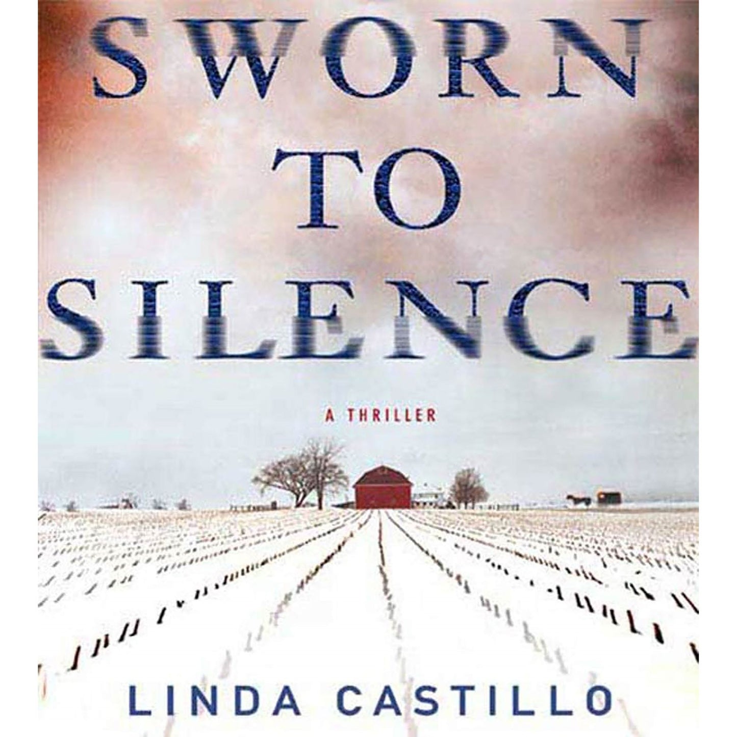 Sworn to Silence: A Thriller