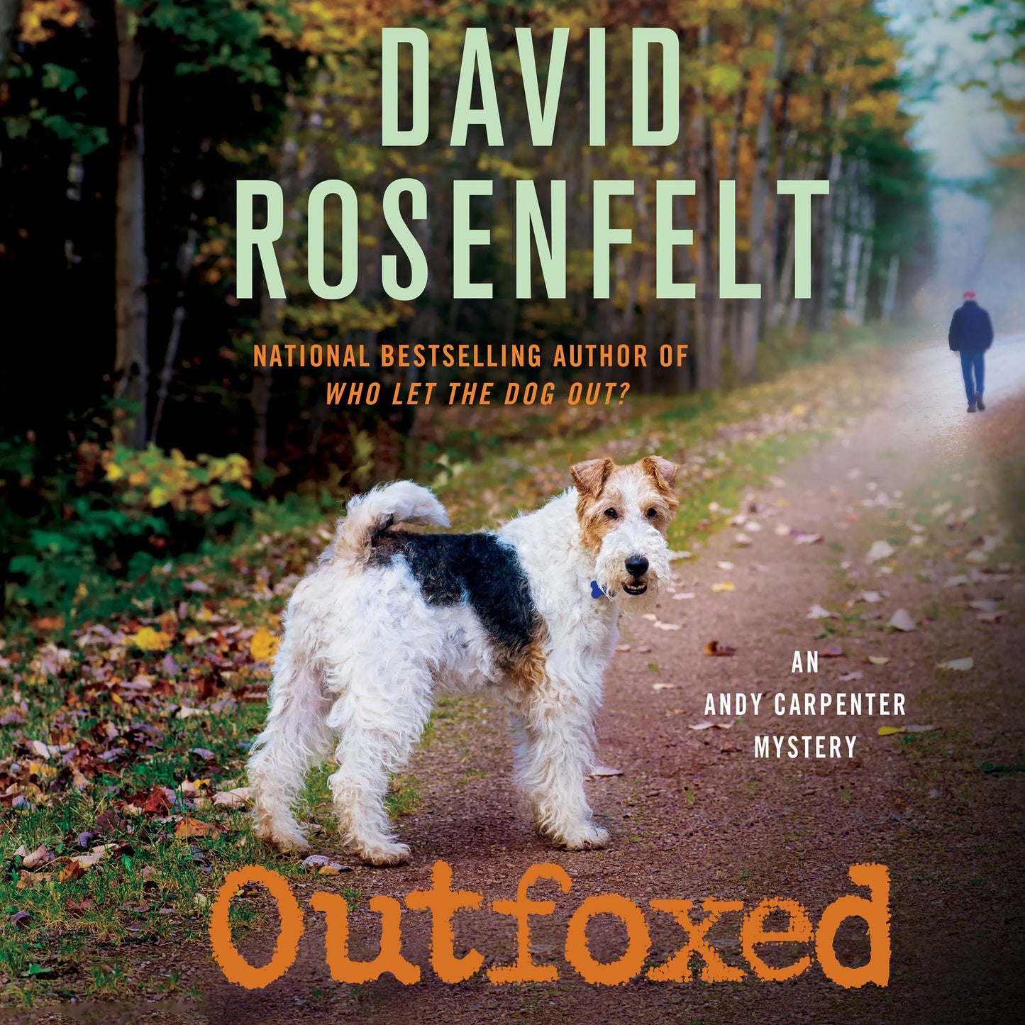 Outfoxed: An Andy Carpenter Mystery