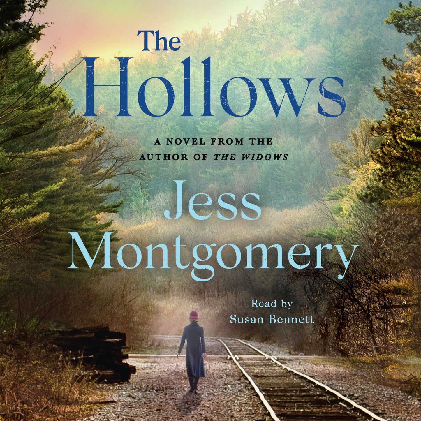 The Hollows : A Novel
