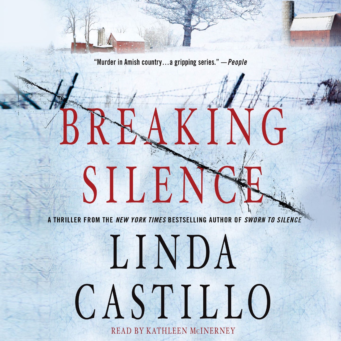 Breaking Silence: A Kate Burkholder Novel