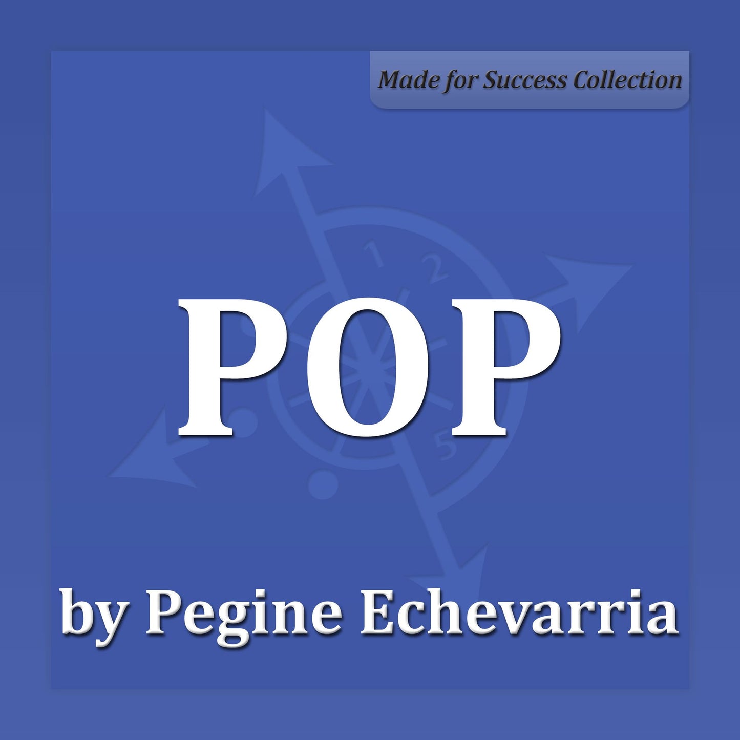 POP: A Process to Propel Your Success