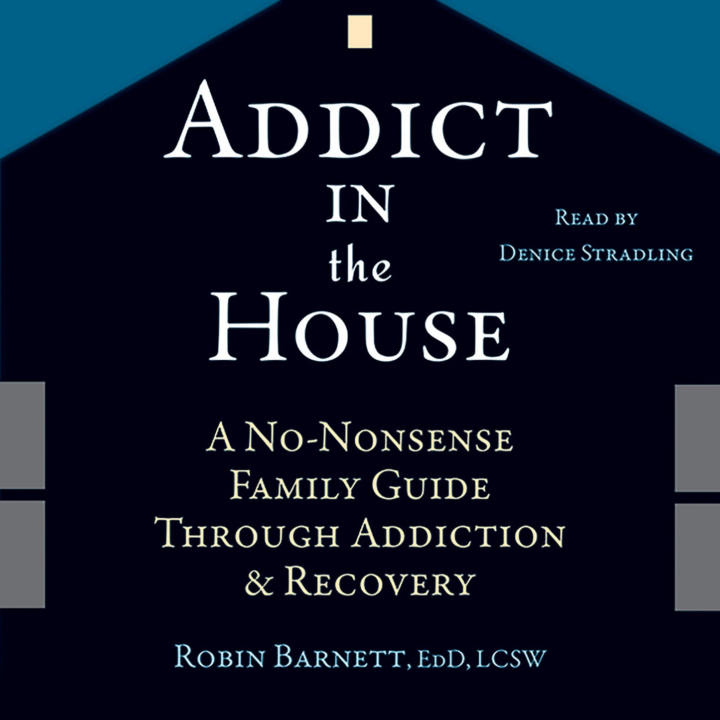 Addict in the House: A No-Nonsense Family Guide Through Addiction and Recovery