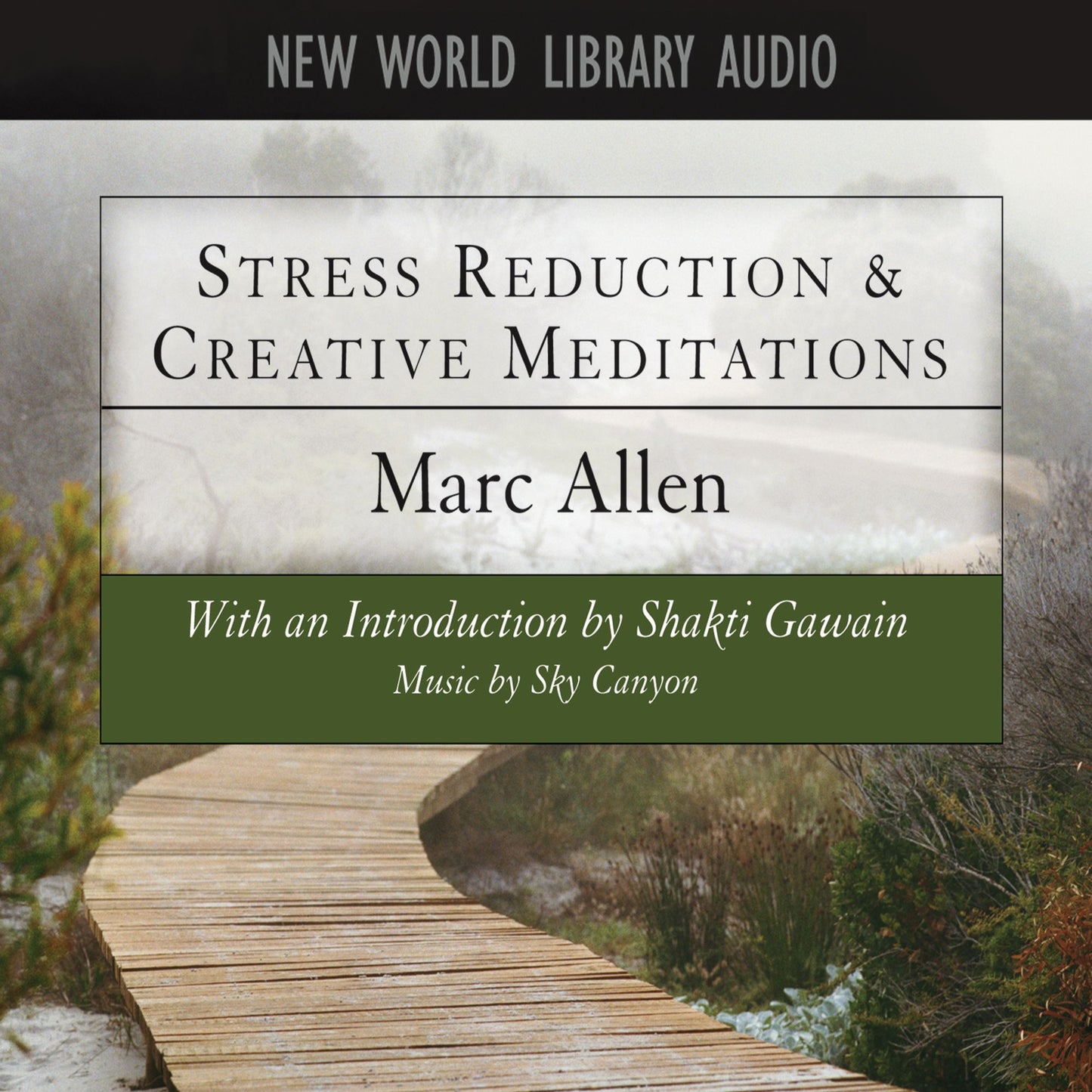 Stress Reduction & Creative Meditations (Abridged)