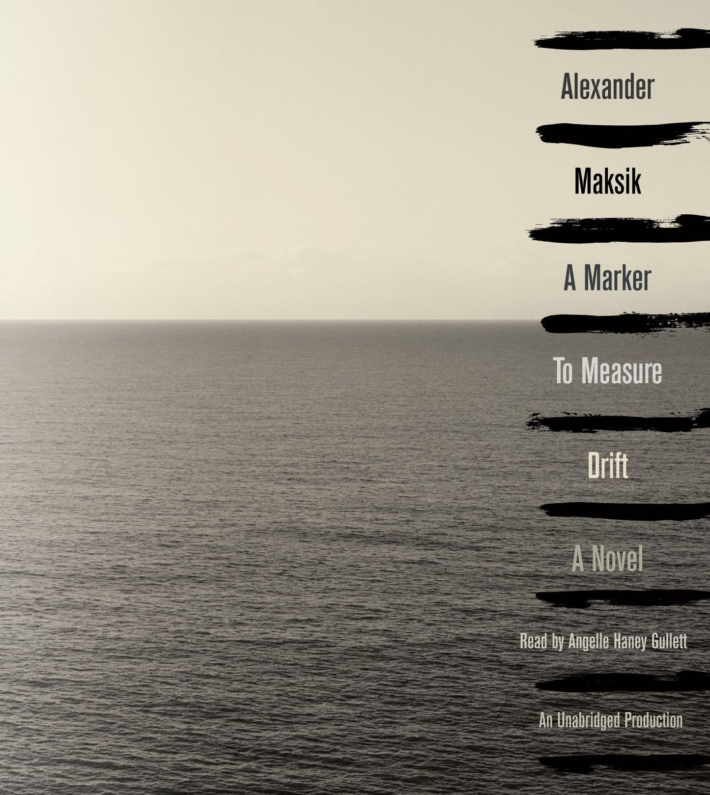 A Marker to Measure Drift: A Novel