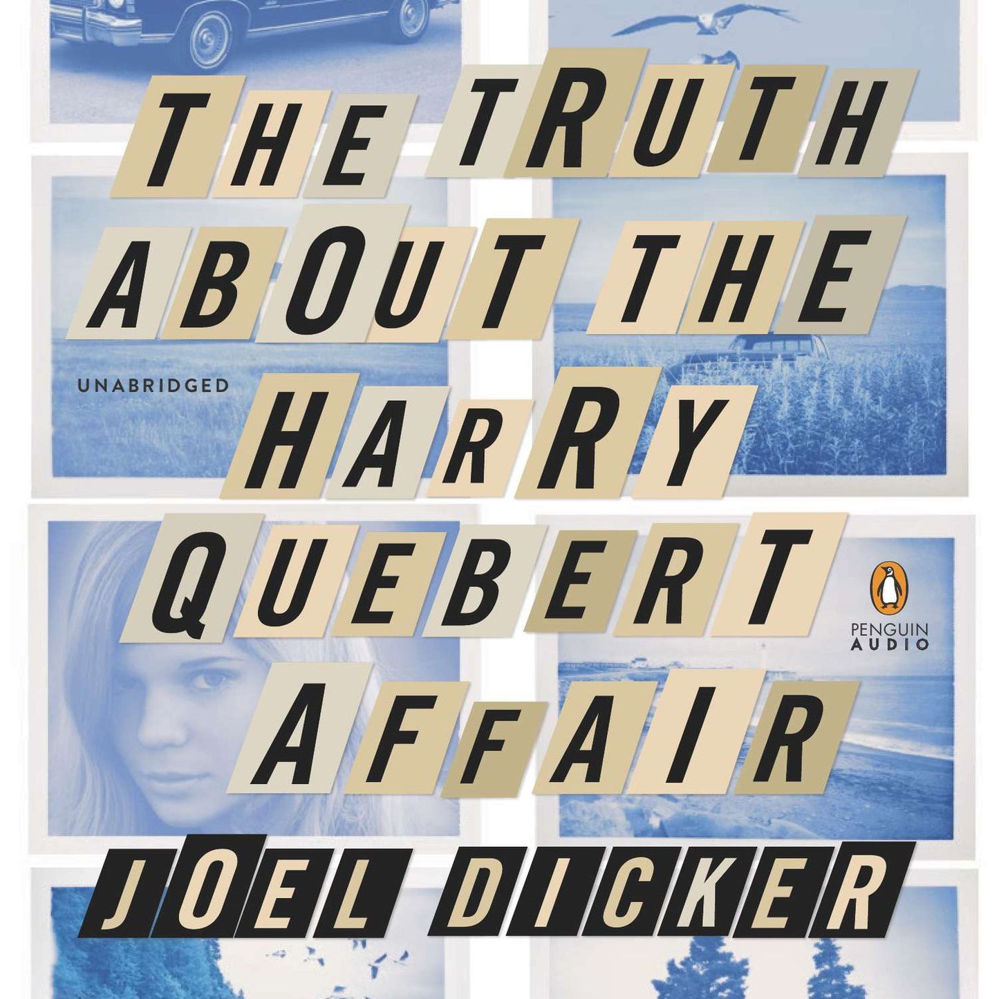 The Truth About the Harry Quebert Affair: A Novel