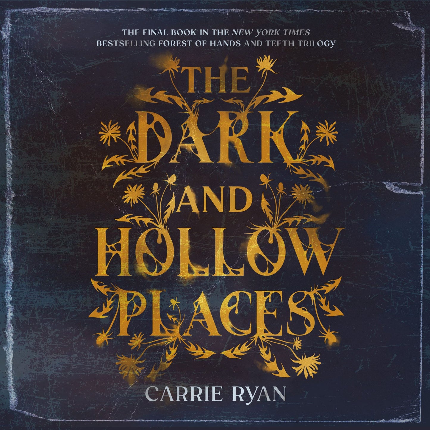 The Dark and Hollow Places: A Forest of Hands and Teeth Book