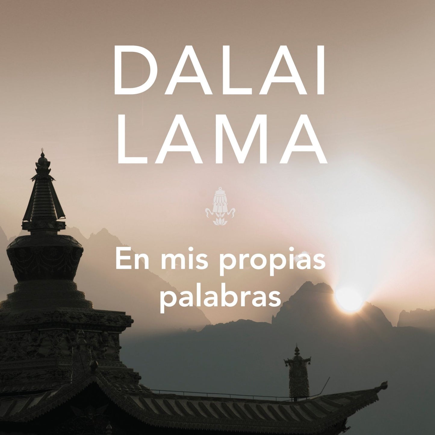 En mis propias palabras