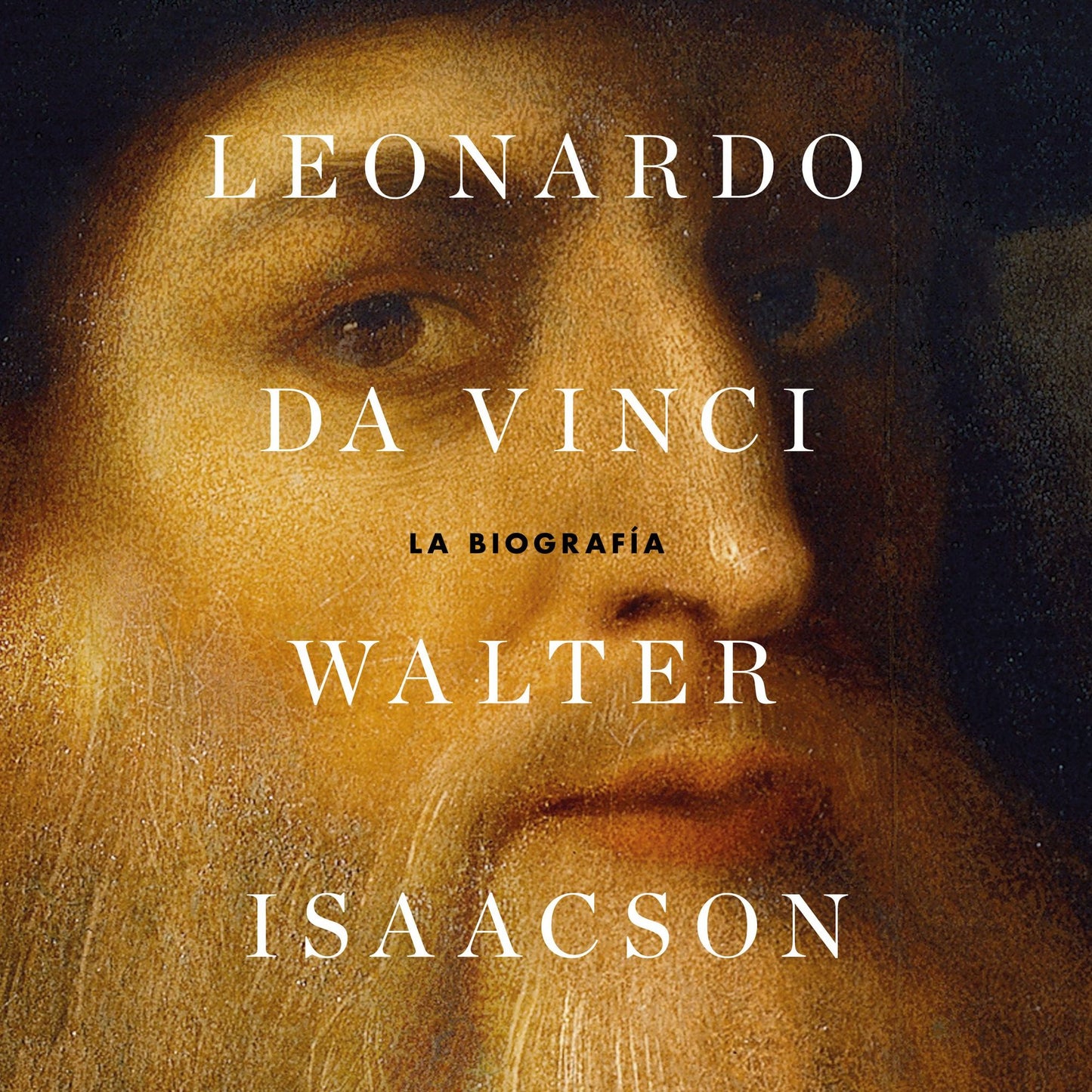 Leonardo da Vinci: La biografía