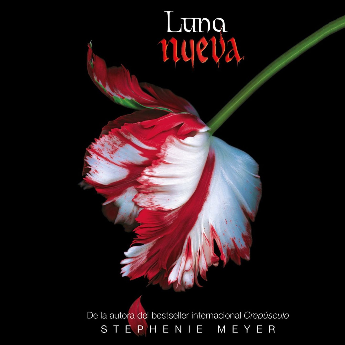 Luna nueva