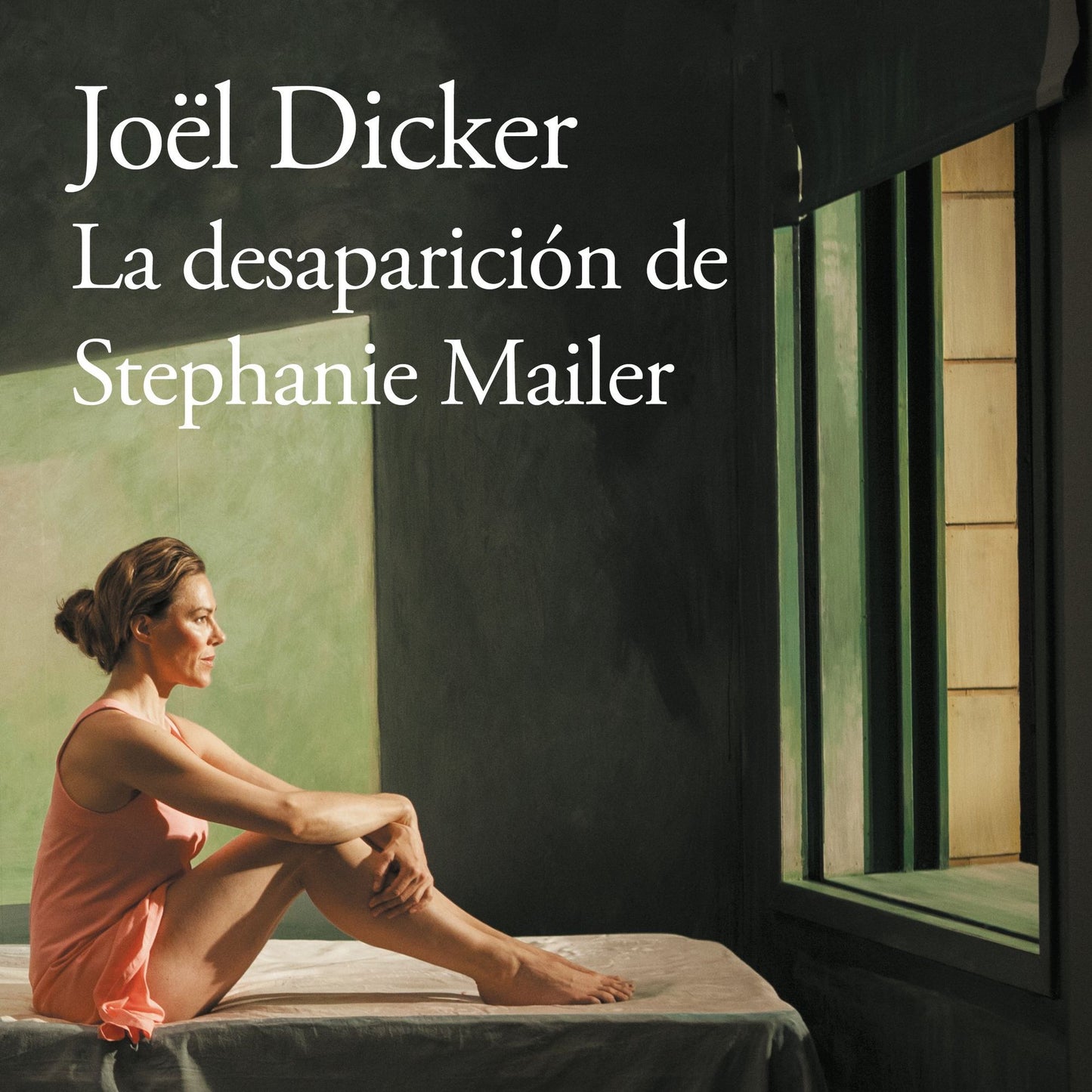 La desaparición de Stephanie Mailer