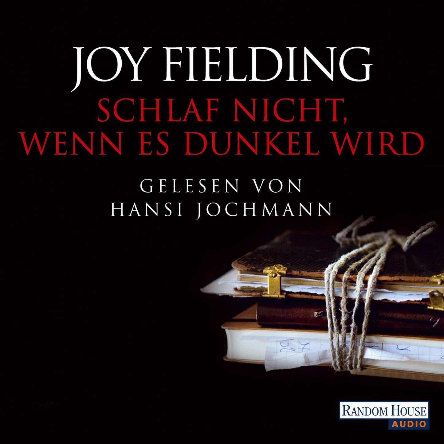 Schlaf nicht, wenn es dunkel wird (Abridged)