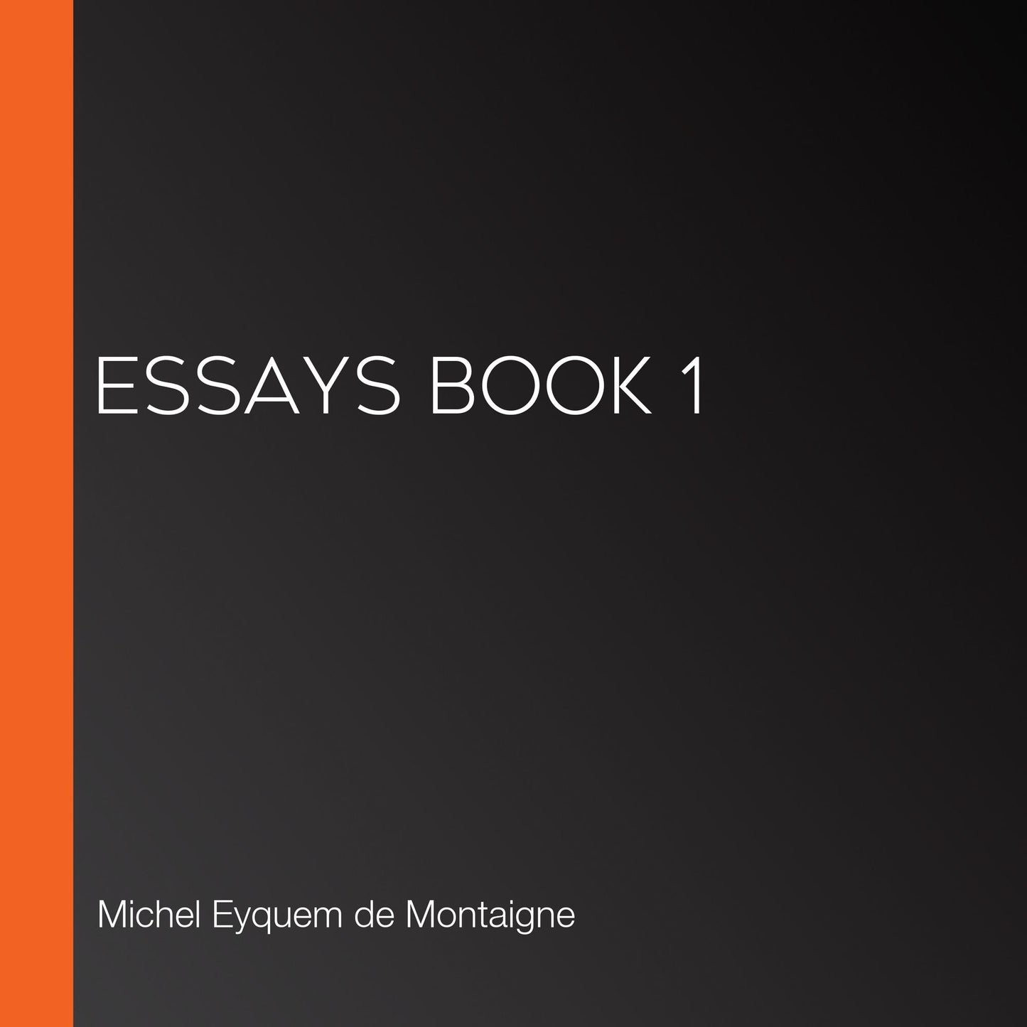 Essays book 1