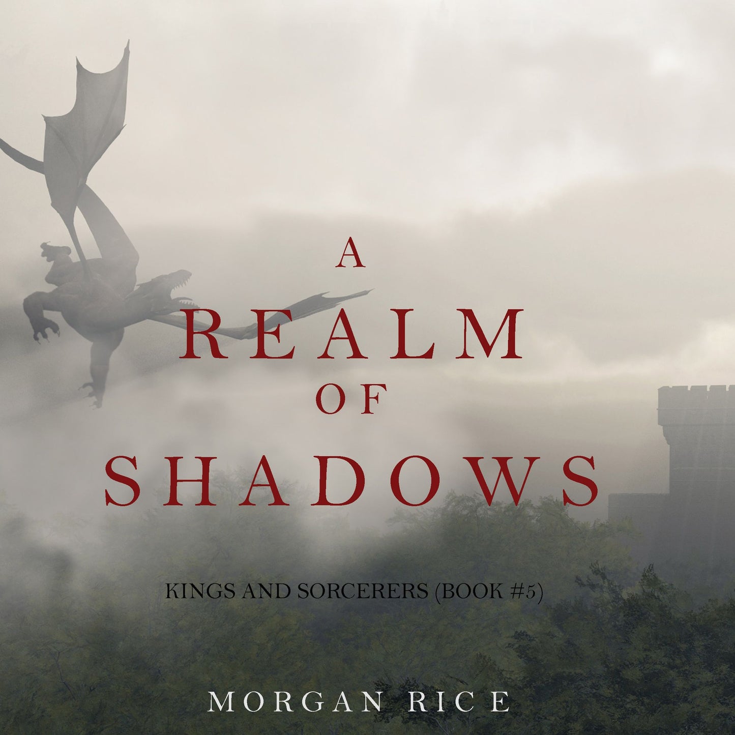 Realm of Shadows, A (Kings and Sorcerers¿Book 5)