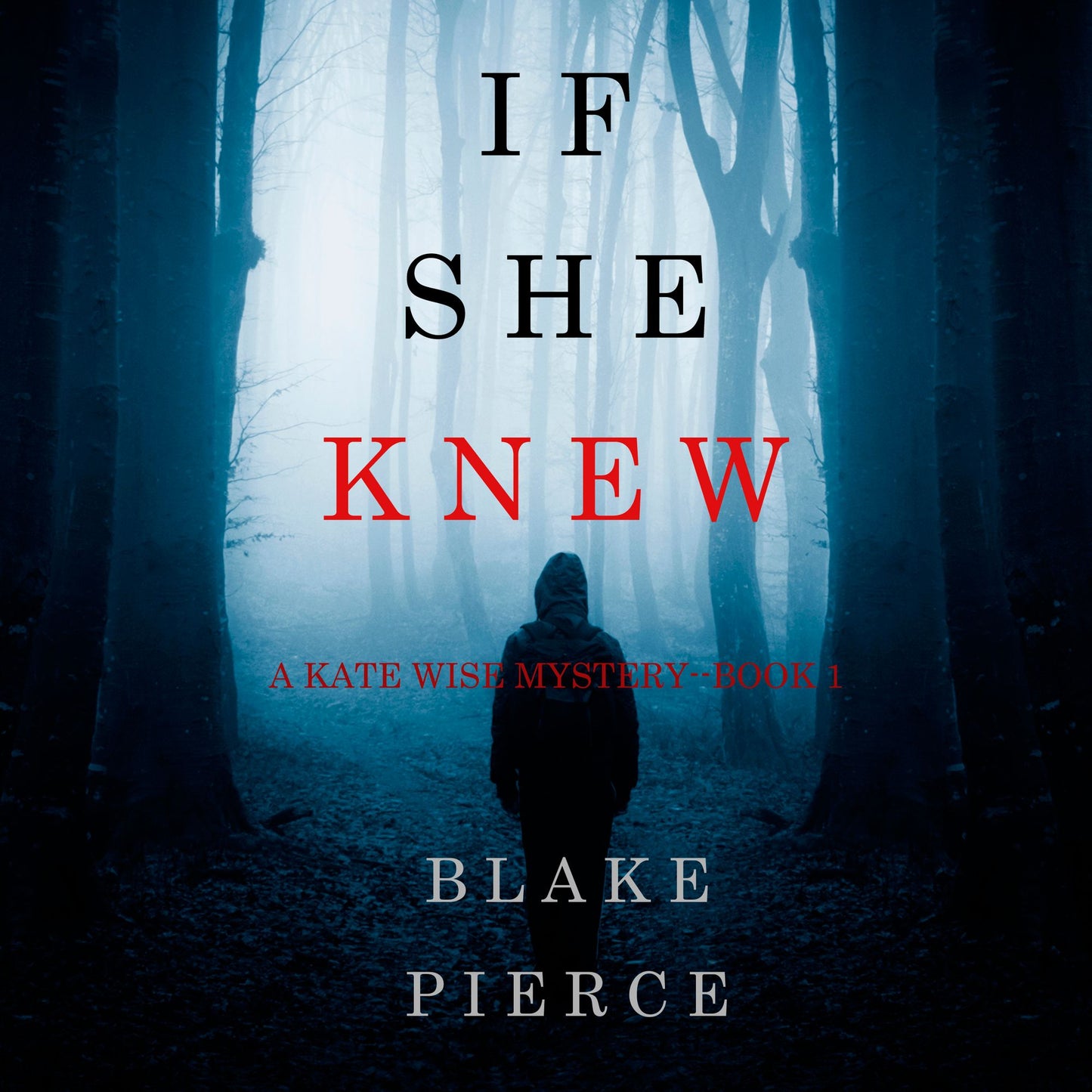 If She Knew (A Kate Wise Mystery-Book 1)