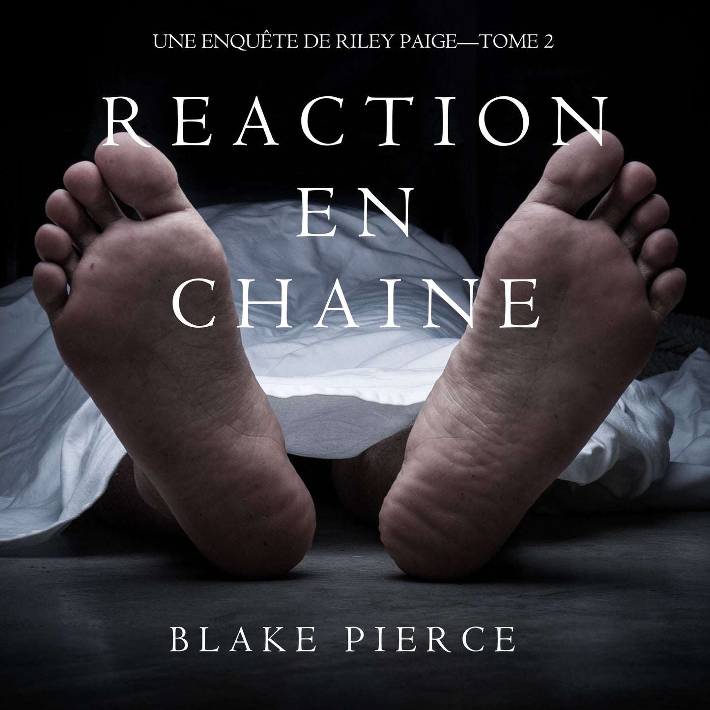 Réaction en Chaîne (Une Enquête de Riley Paige ¿ Tome 2)