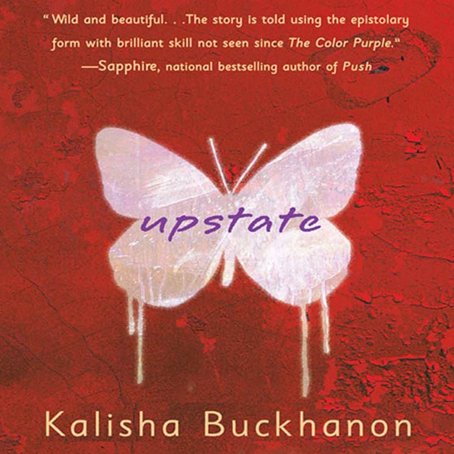 Upstate: A Novel