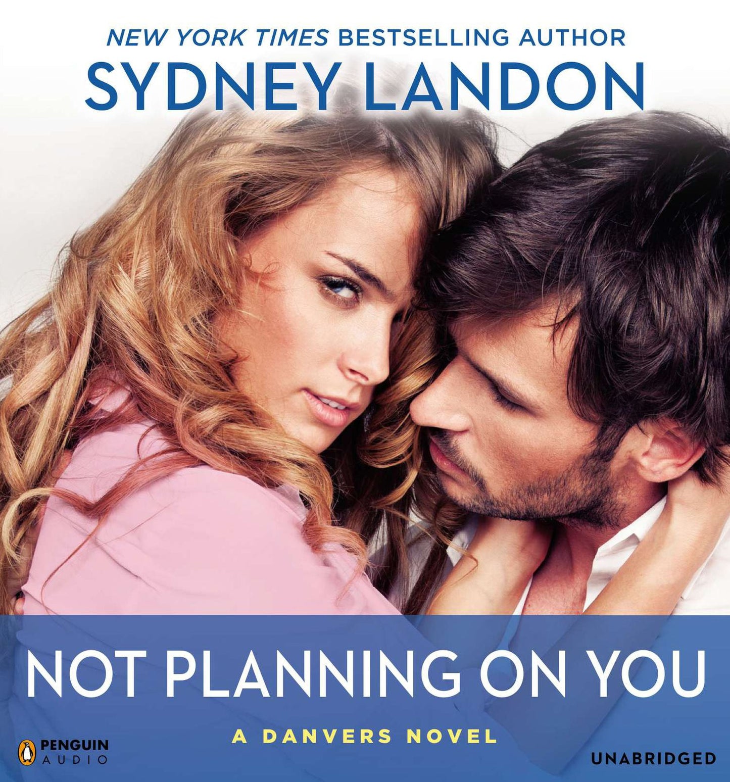 Not Planning On You: A Danvers Novel
