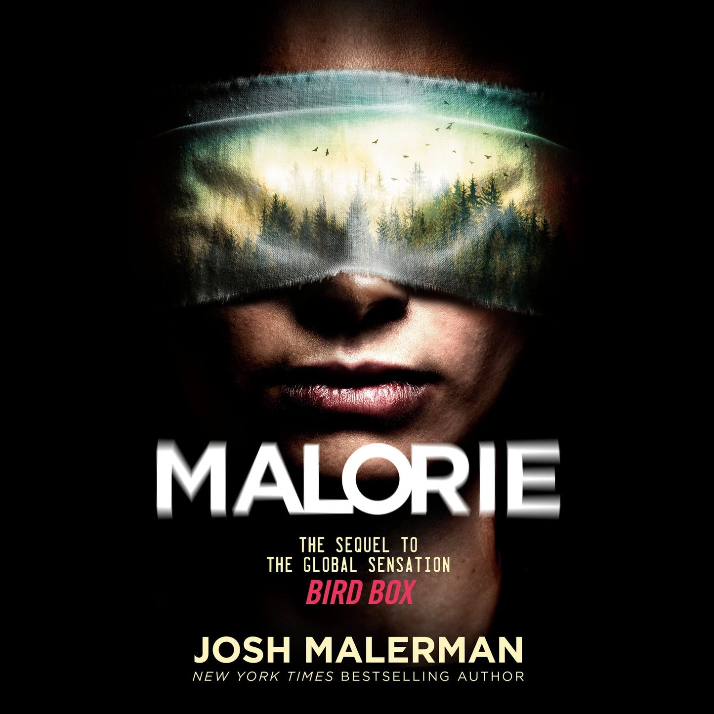 Malorie : A Bird Box Novel
