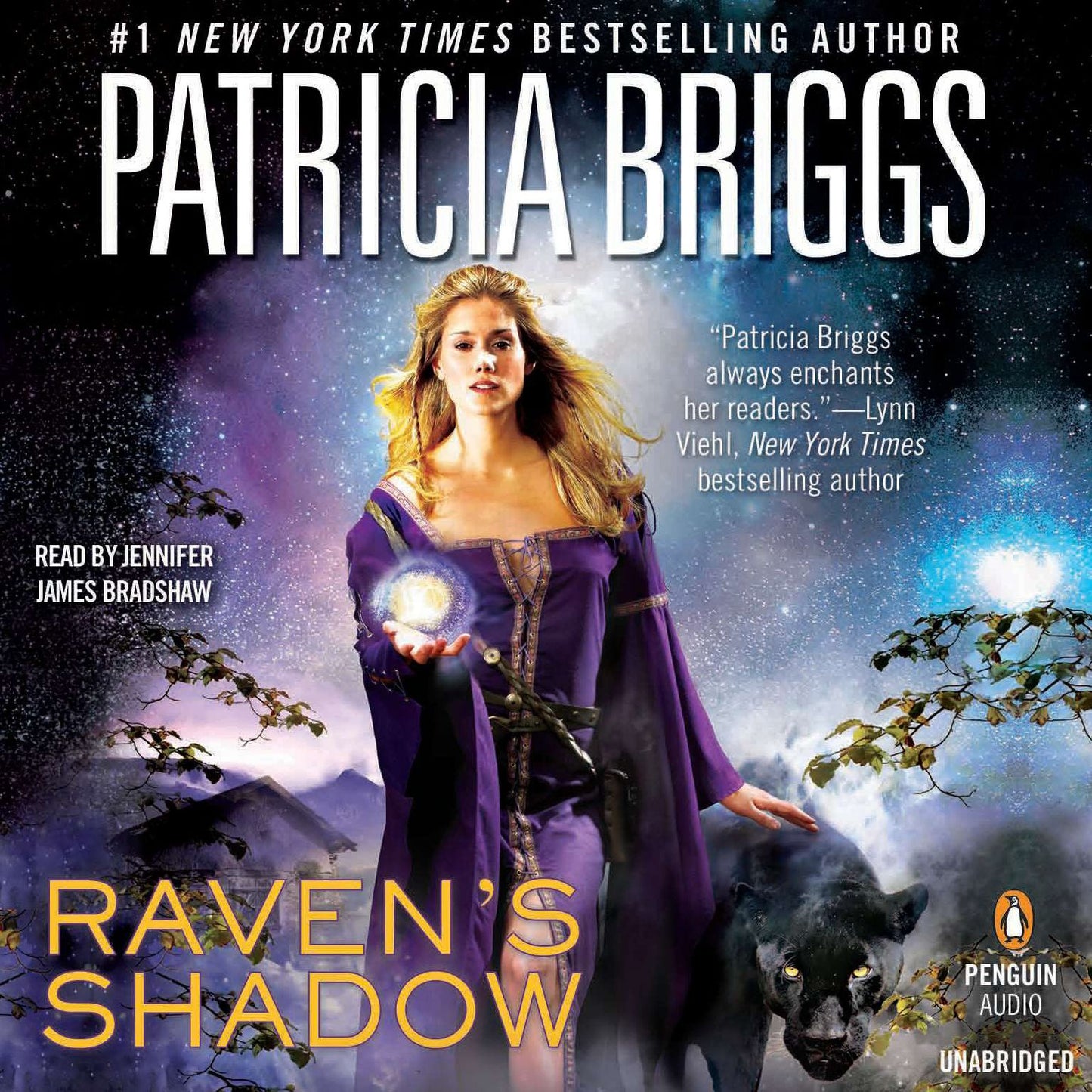 Raven's Shadow