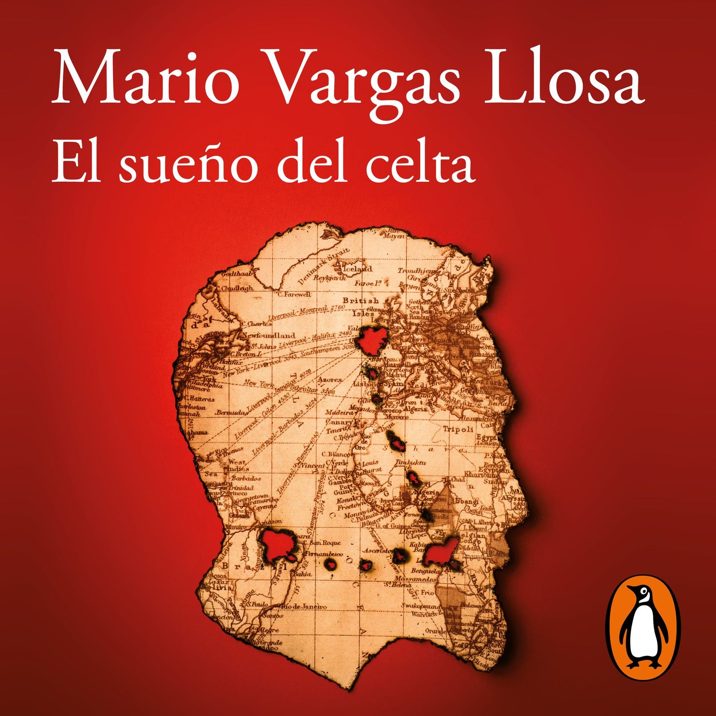 El sueño del celta