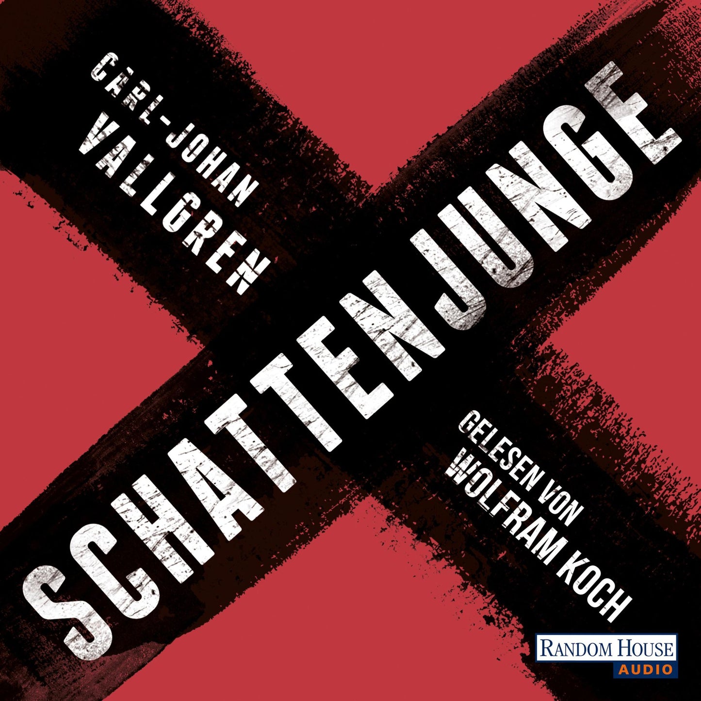Schattenjunge (Abridged)